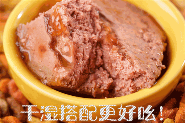 golove宠物加盟