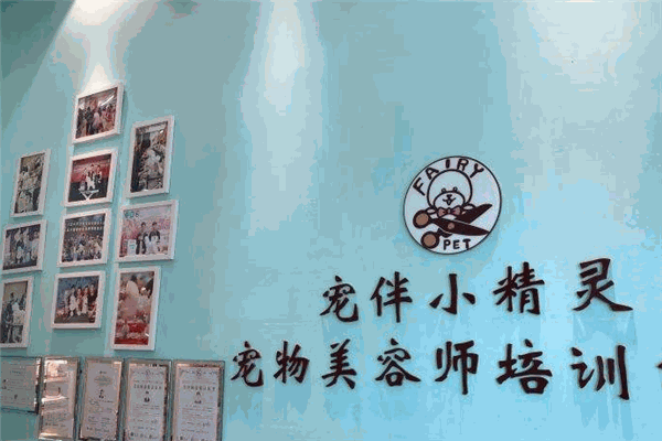 宠伴小精灵宠物店加盟