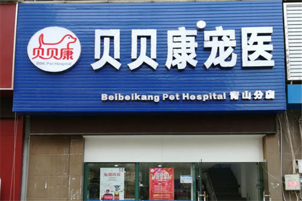 贝贝康宠物医院加盟