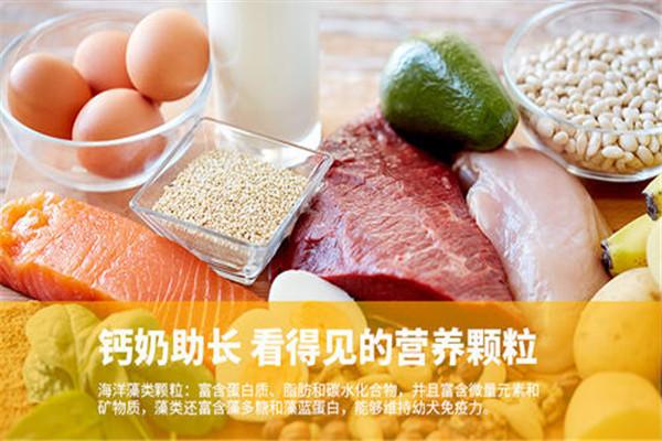 福贝宠食加盟