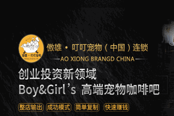 傲雄叮叮宠物加盟
