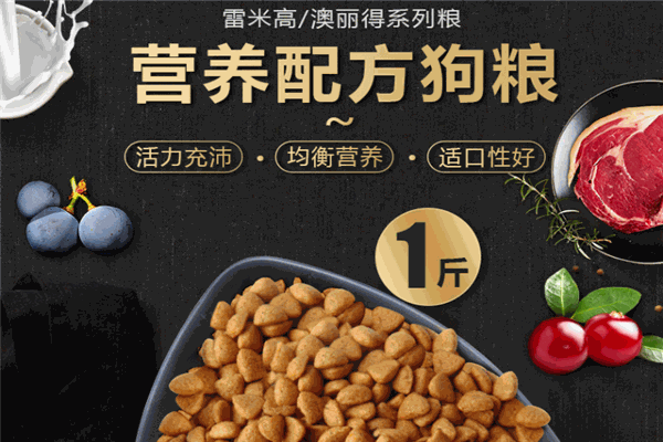 雷米高宠物加盟