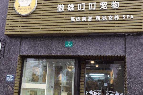 傲雄叮叮宠物加盟