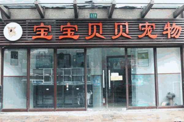 宝宝贝贝宠物店加盟