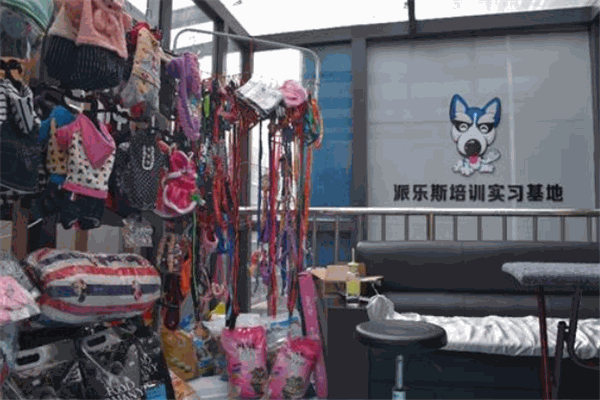 派乐斯宠物生活馆加盟