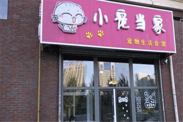 小宠当家宠物店加盟