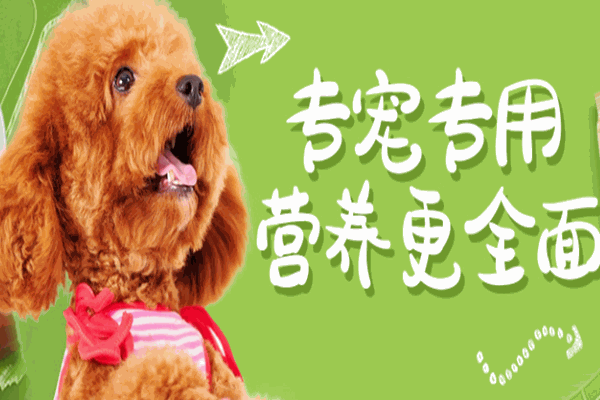 麦顿狗粮加盟