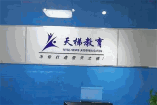 天梯教育