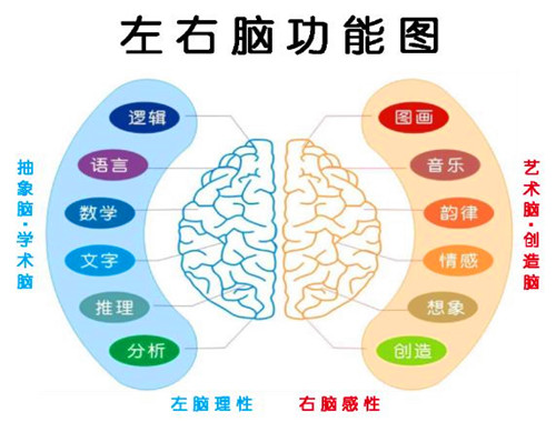 杨氏速读速记