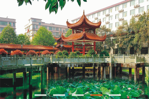 中南艺校