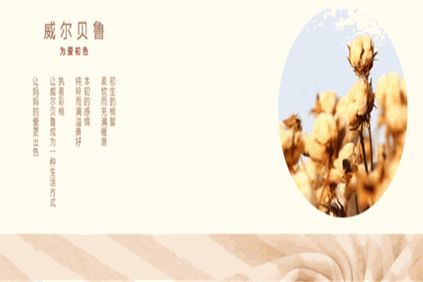威尔贝鲁婴儿彩棉