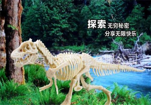 匹诺考古加盟