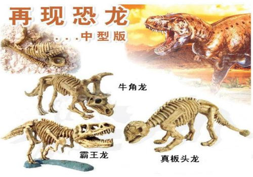 匹诺考古加盟