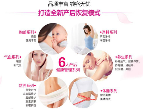 康乃馨母婴护理