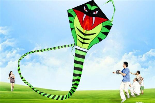 恒鸢加盟