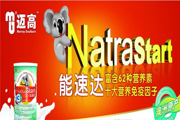 迈高奶粉加盟