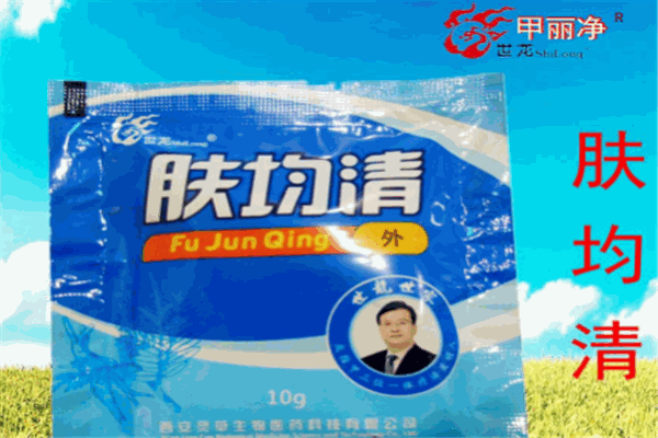 甲丽净