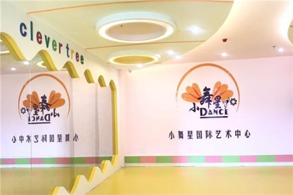 聪明树小舞星国际艺术中心