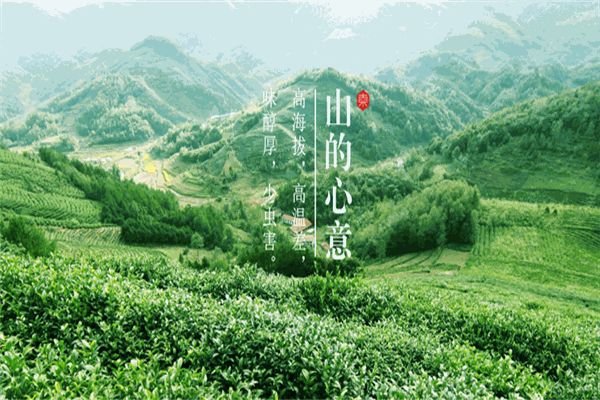 东裕茗茶