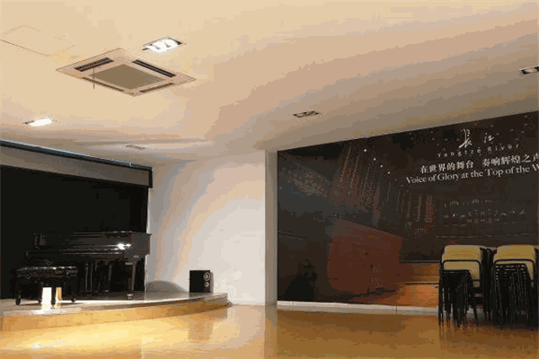 飞音琴行