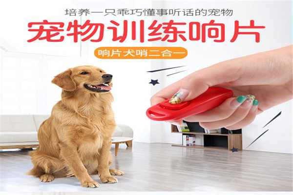 晨辰宠物用品