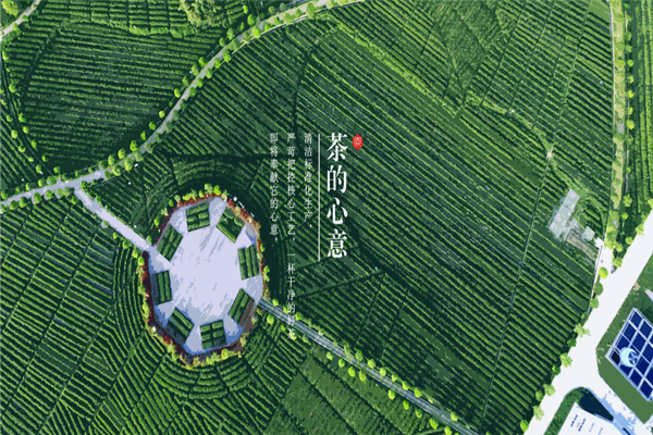 东裕茗茶