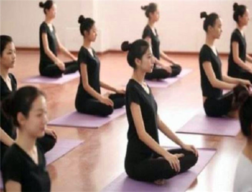 艺君师艺考培训