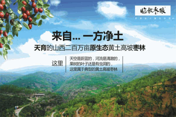 临歌枣酿饮料