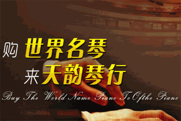 天韵琴行