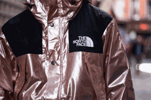 THE NORTH FACE