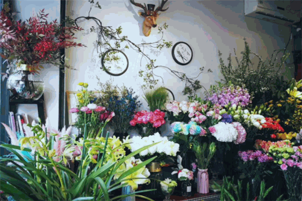 我家花房