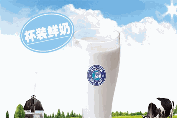 澳牛乳业加盟