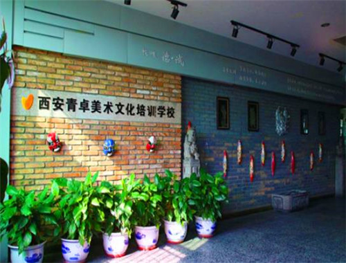 青卓教育