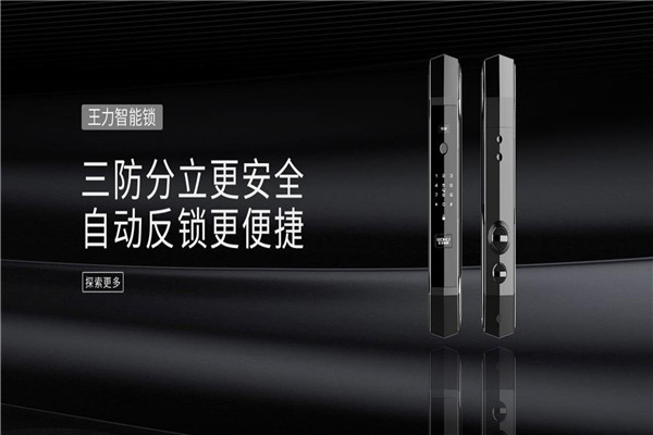 王力安全门