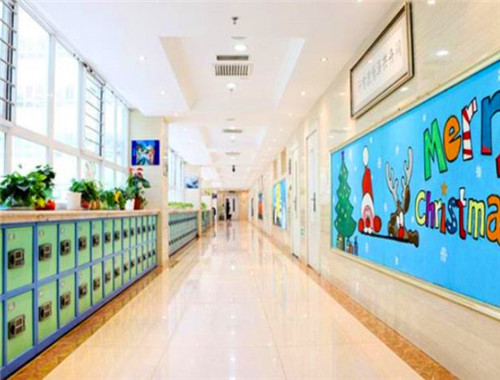 迪派学校