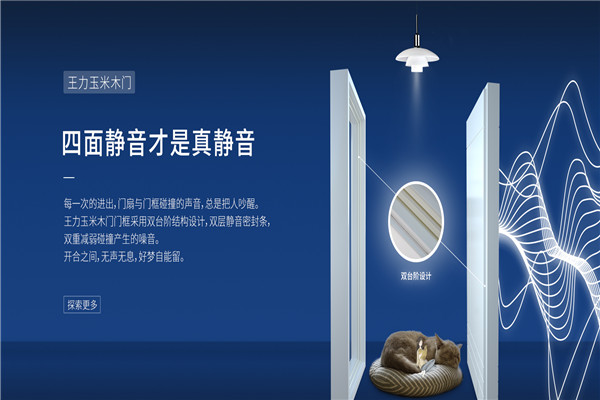 王力安全门