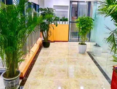 迪派学校