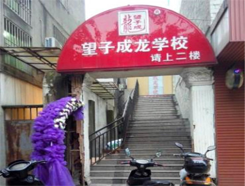 望子成龙学校