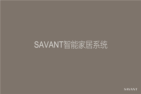 赛万特智能家居加盟