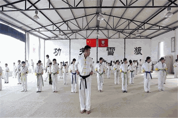 功夫雪狼武道馆