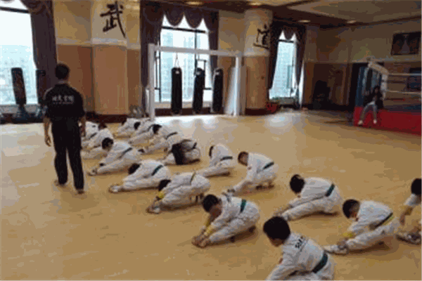 功夫雪狼武道馆