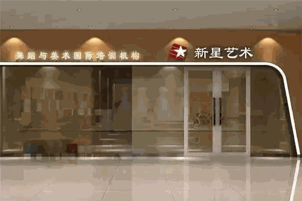 新星艺术
