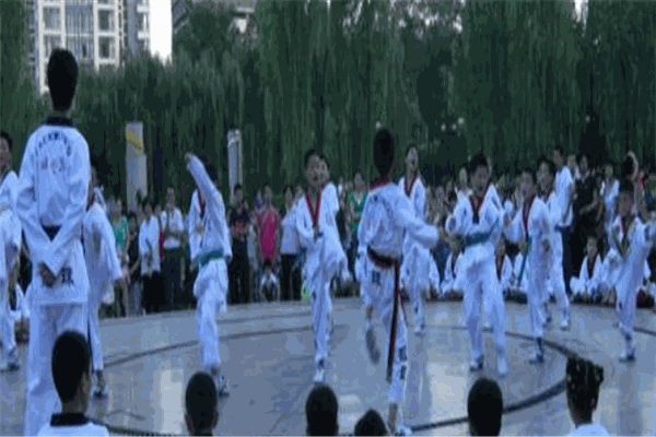 龙珠跆拳道
