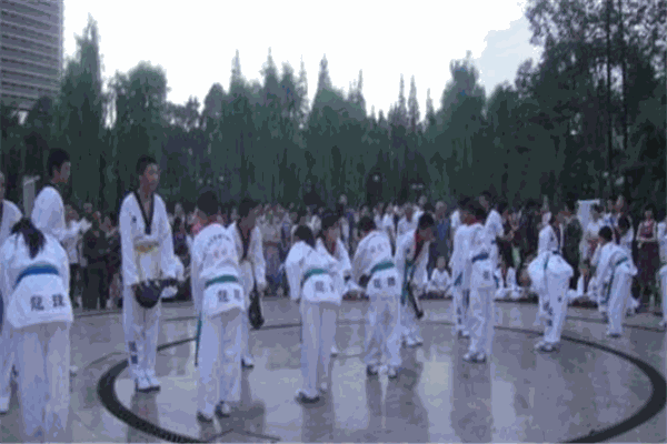 龙珠跆拳道