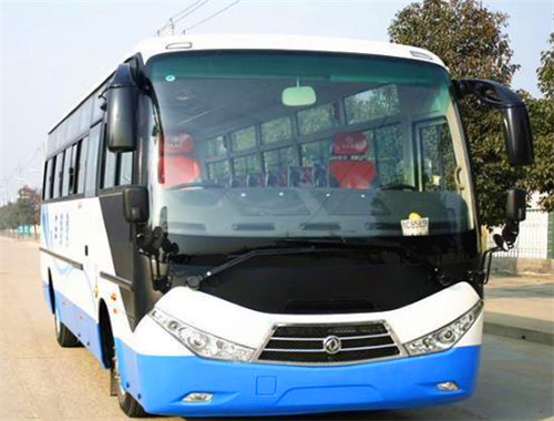 巴士学车