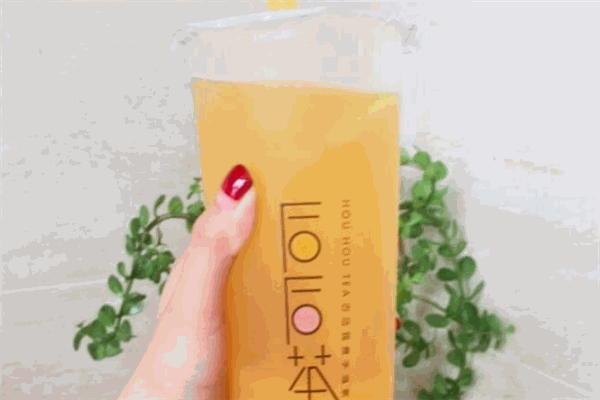 后后茶
