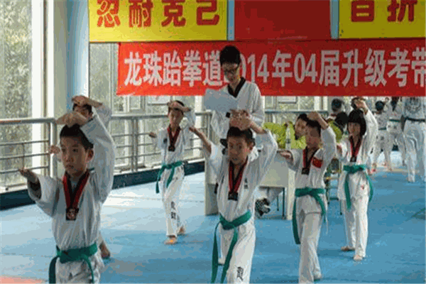 龙珠跆拳道