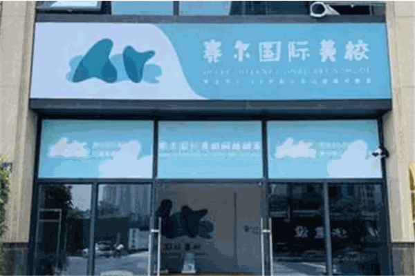 赛尔国际美校