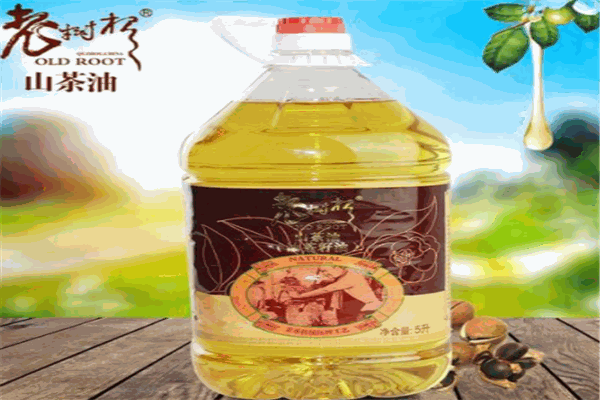 老树根山茶油