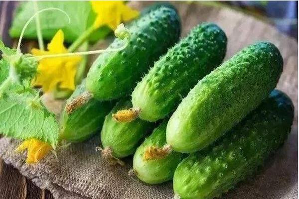 百姓菜篮子生鲜超市